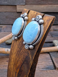Golden Hills Sterling Silver Post Earrings