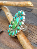 Sterling Silver Sonoran Turquoise Cluster Ring by Jason Livingston - Adjustable