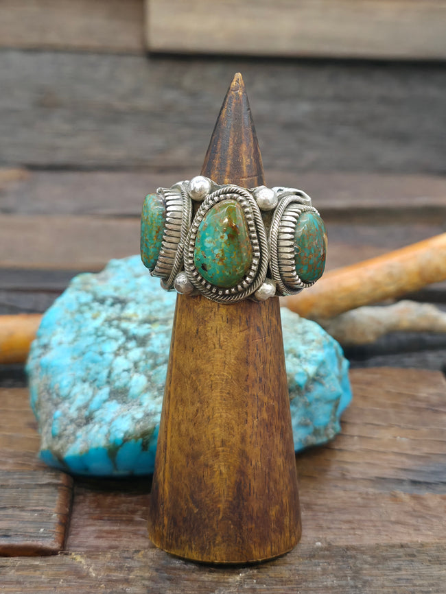 Five Stone Kingman Turquoise Sterling Silver Infinity Ring by Richard Jim - Size 10