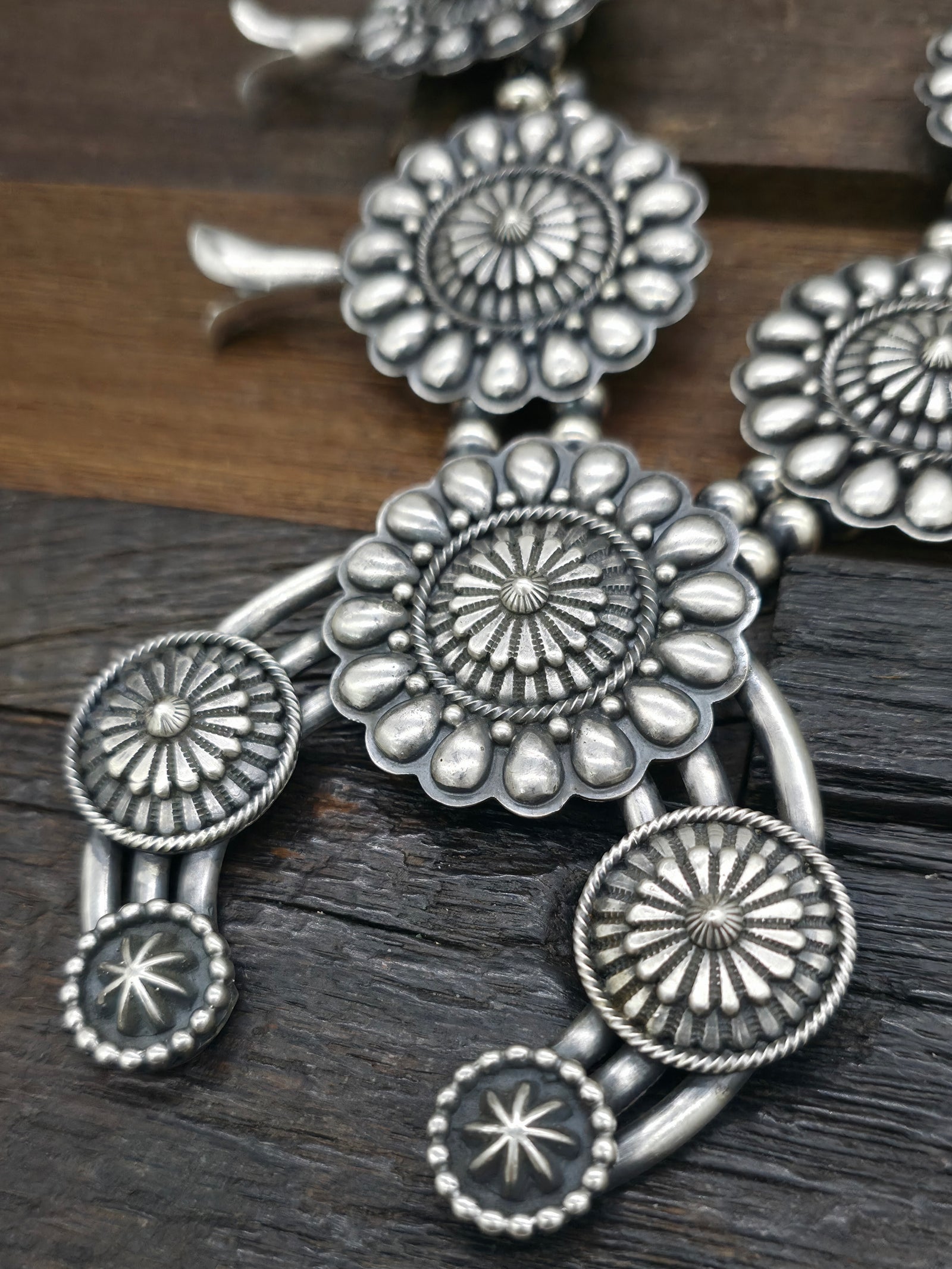 Sterling Silver Squash Blossom Necklace and Earring Set by Tom Lewis - 26 in.