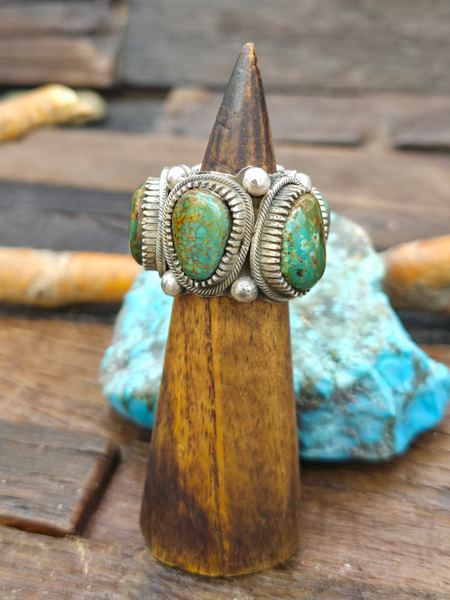 Five Stone Kingman Turquoise Sterling Silver Infinity Ring by Richard Jim - Size 10
