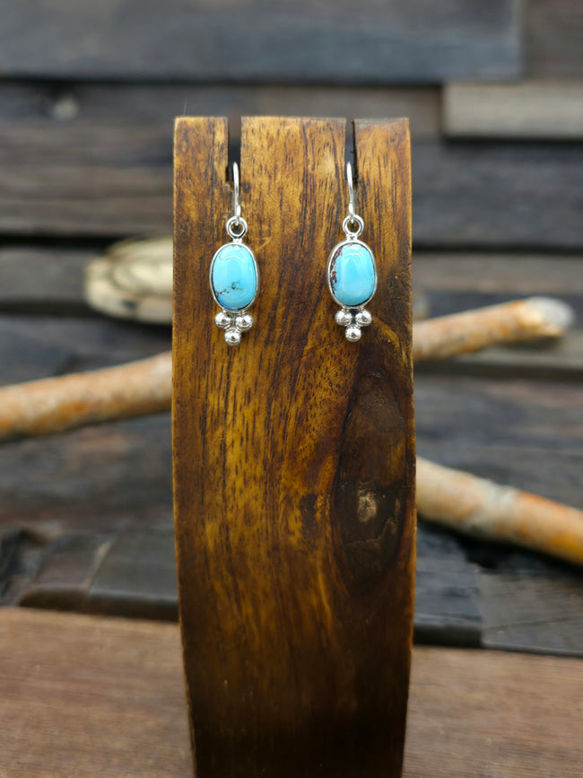 Golden Hill Turquoise Sterling Silver Hook Earrings