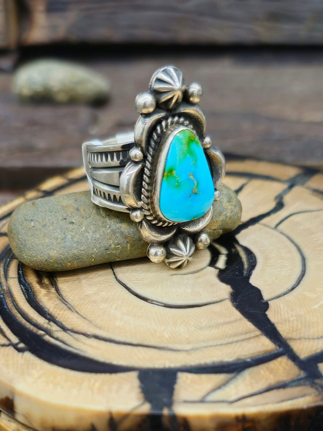 Stamped Sterling Silver and Sonoran Turquoise Ring by Albert Jake - Size 8
