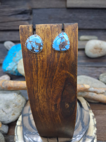 Dry Creek Turquoise Oval and Large Round Post Dangle Earrings by LaRose Ganadanegro