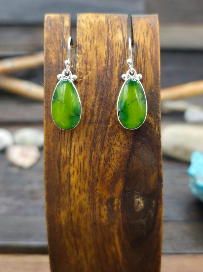 Sonoran Mountain Turquoise Sterling Silver Hook Earrings by Cathy Webster