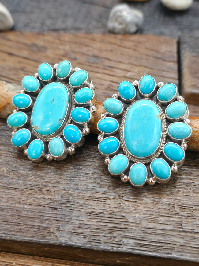 Campitos Turquoise Oval Cluster Post Earrings by S.H.