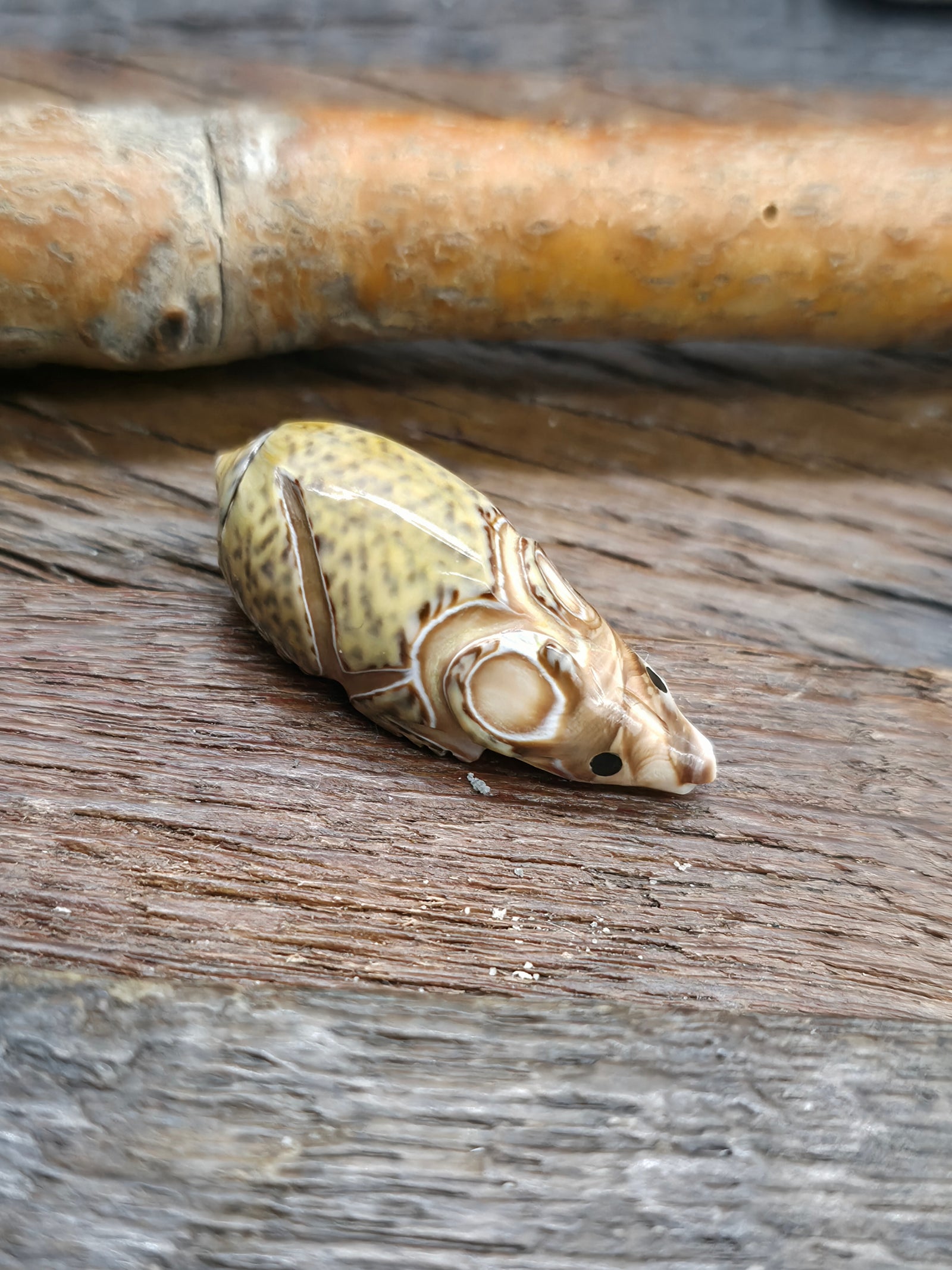 Hand Carved Seashell Mouse Fetish by Roy Davis
