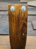 Sterling Silver Mini Oval Concha Post Earrings