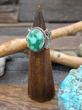 Sterling Silver and Sonoran Turquoise Ring by Albert Jake - Size 7.5