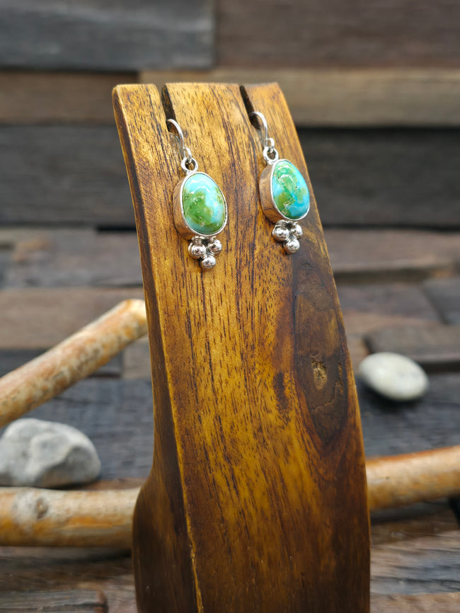 Sterling Silver Sonoran Turquoise Hook Dangle Earrings