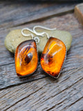 Amber Necklace and Earring Set - 20 in.