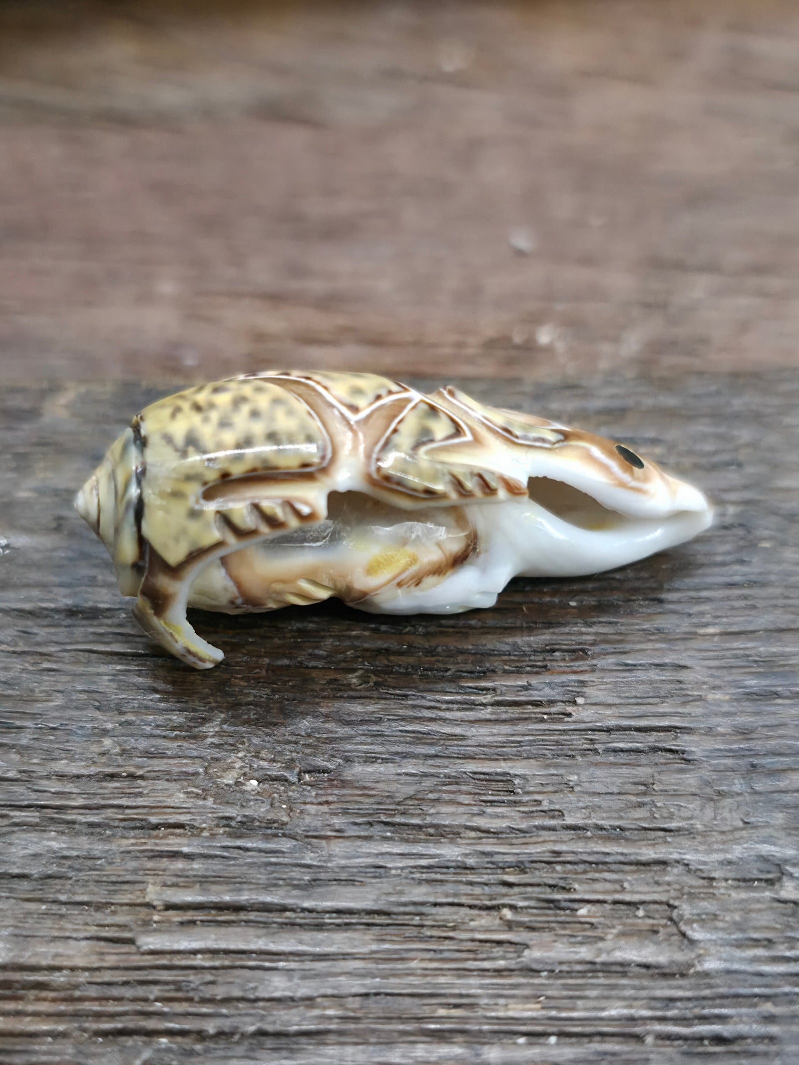 Hand Carved Seashell Mouse Fetish by Roy Davis