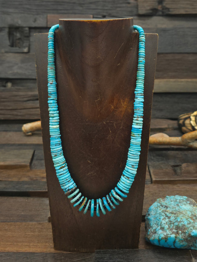 Blue Turquoise and Jet Necklace - 21 in.