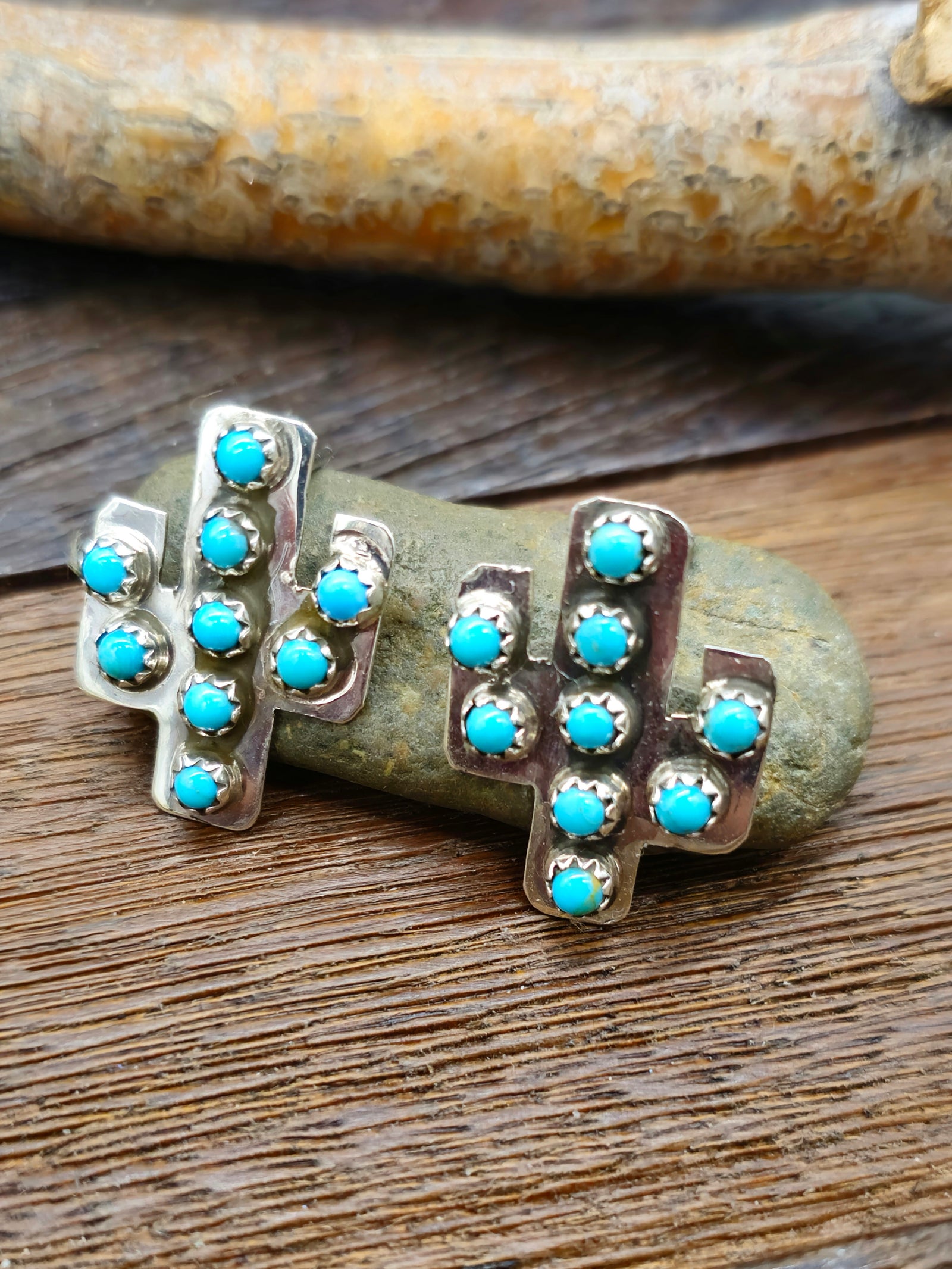 Sterling Silver and Turquoise Cactus Earrings by Aaron Davis